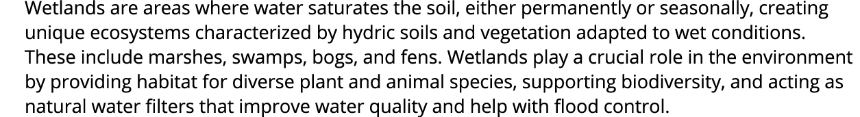 Wetlands are areas where water saturates the soil, either permanently or seasonally, creating unique ecosystems chara...