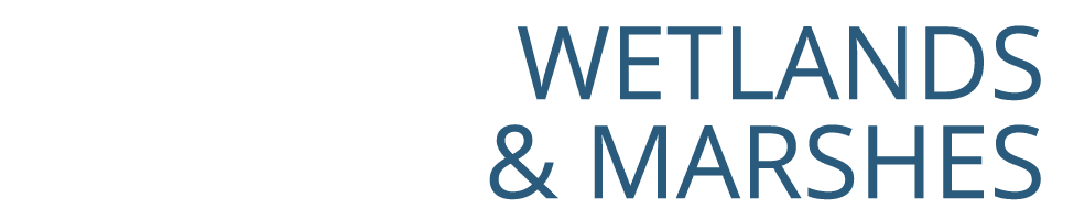 ﻿Wetlands & Marshes