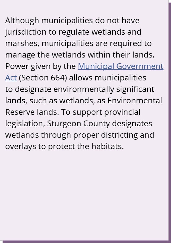 Although municipalities do not have jurisdiction to regulate wetlands and marshes, municipalities are required to man...